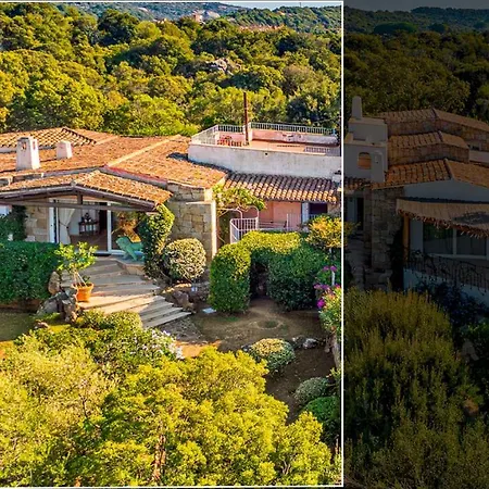 Stella 6, Emma فيلة أرتْساكينا